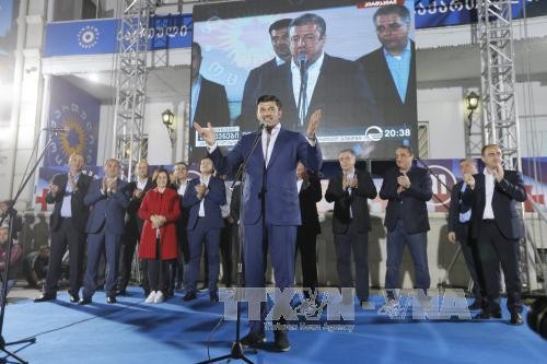 Georgia election’s preliminary results announced - ảnh 1